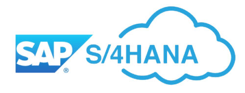 SAP_Hana_Cloud S/4 HANA Cloud